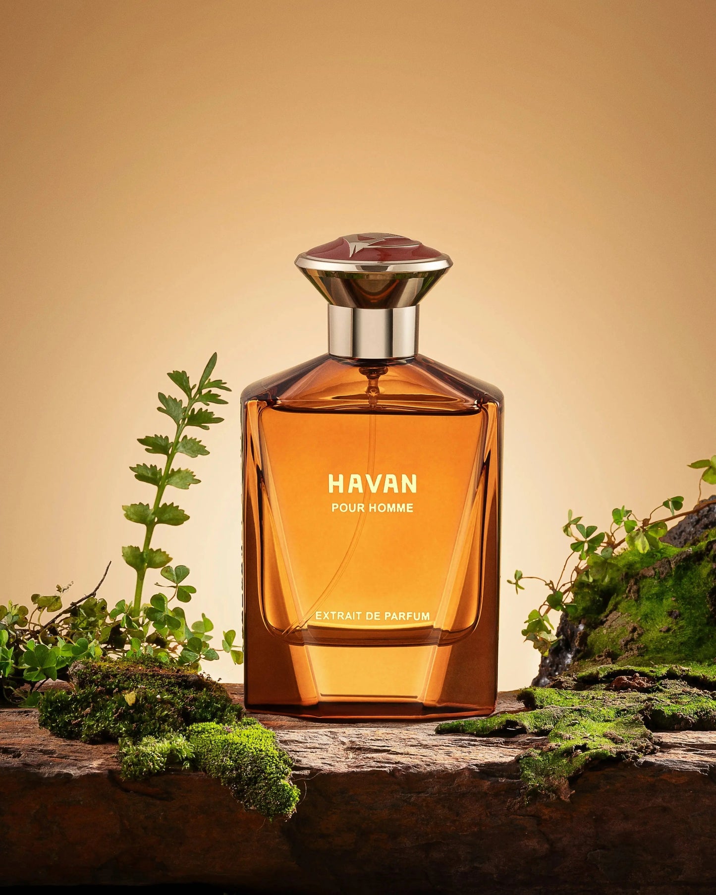 Fragrance Story Havan EDP – Men’s 3.4oz Spray perfumesandrea
