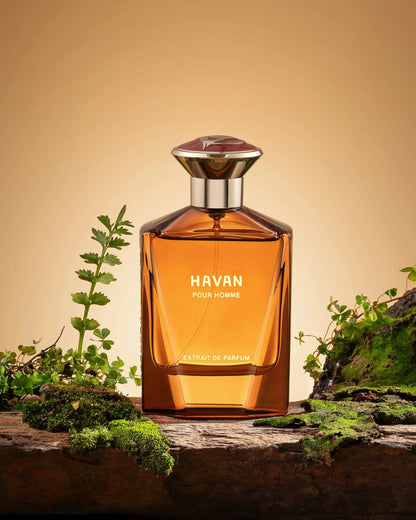Fragrance Story Havan EDP – Men’s 3.4oz Spray perfumesandrea